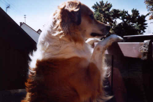 wpe13.jpg (15300 Byte)