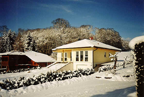 wpe1A.jpg (40915 Byte)