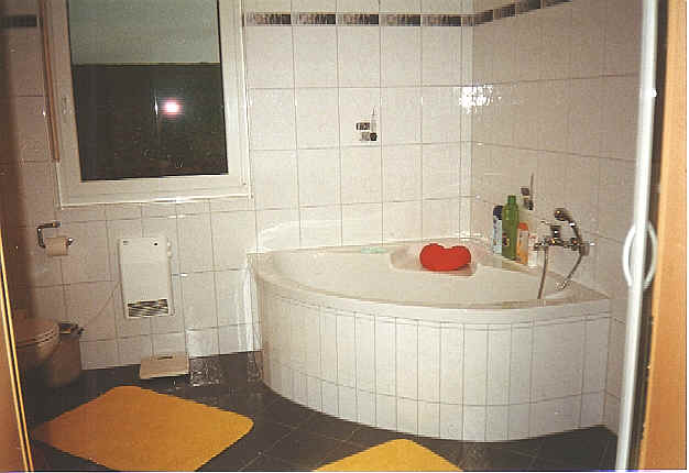 wpe1C.jpg (28027 Byte)