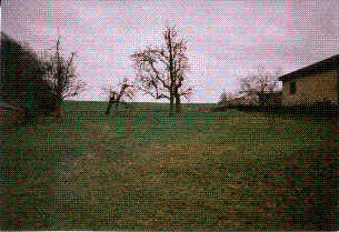 wpe11.jpg (16862 Byte)