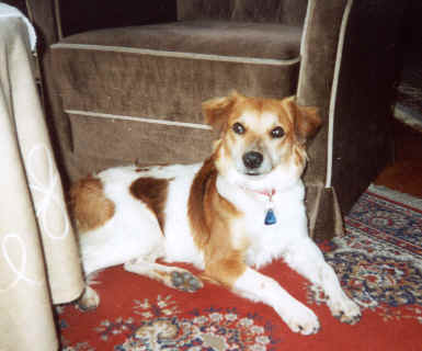 wpe10.jpg (15915 Byte)